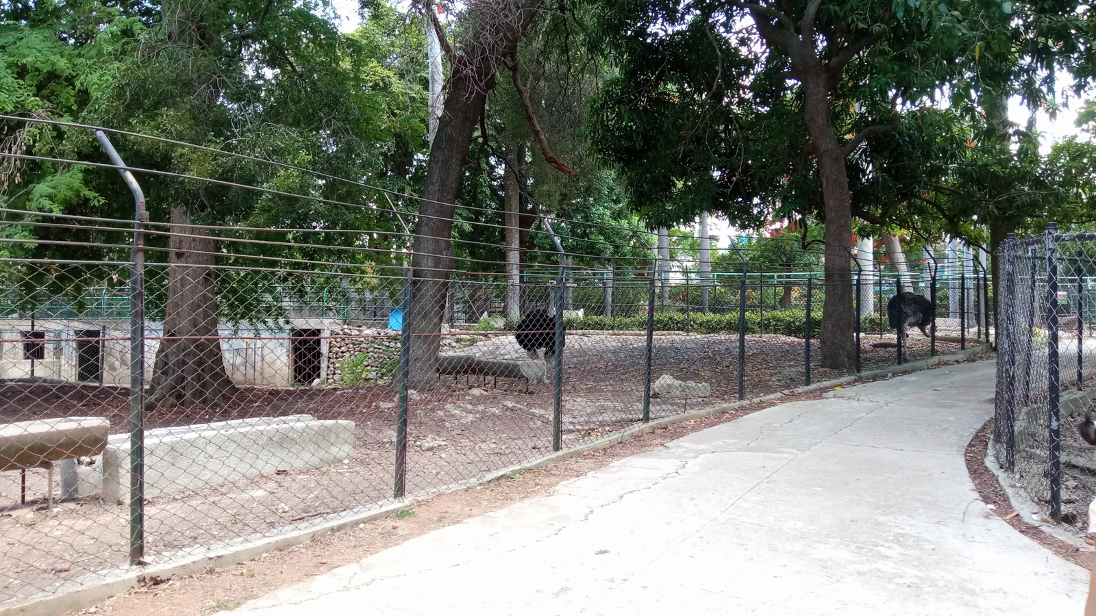 Zoológico de 26