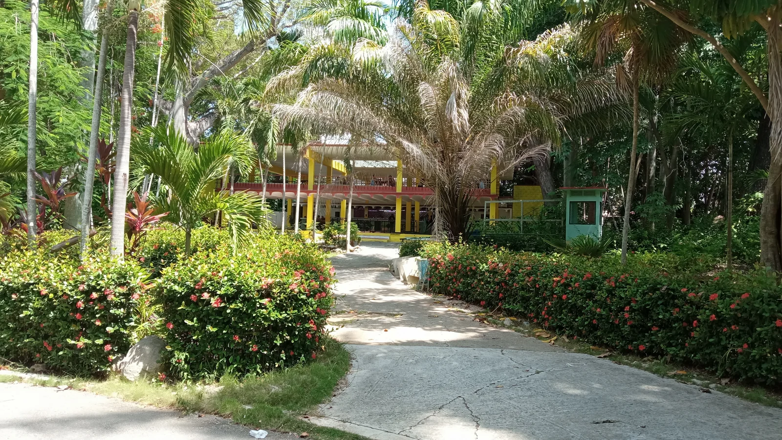 Zoológico de 26