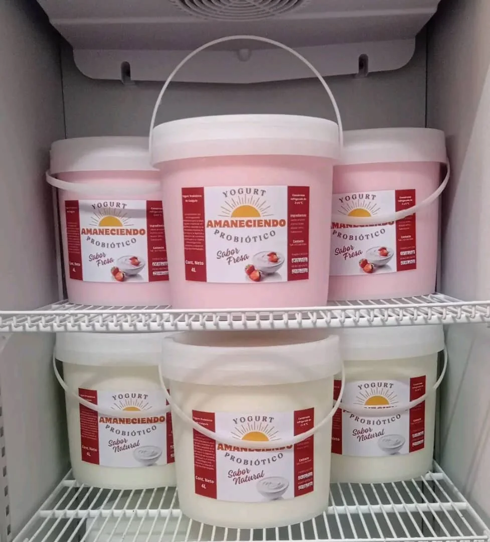 Yogurt amaneciendo exhibidora con varios sabores de Yogurt