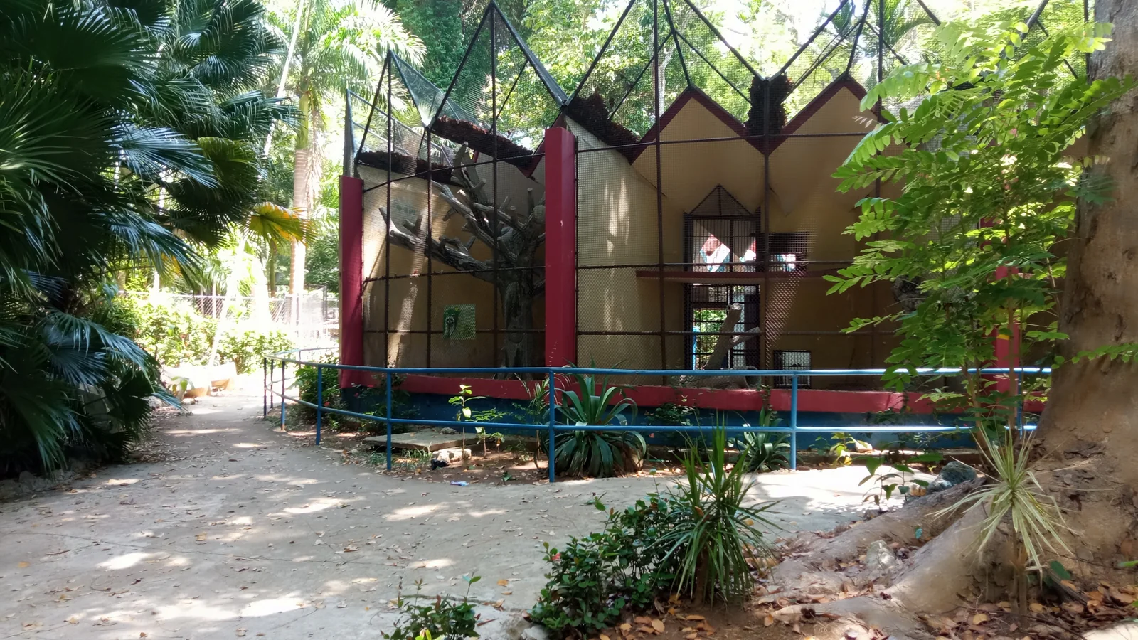 Zoológico de 26