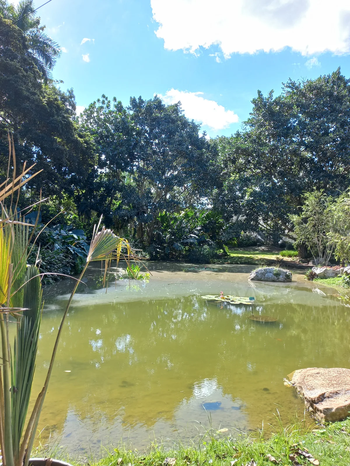 Jardín botánico