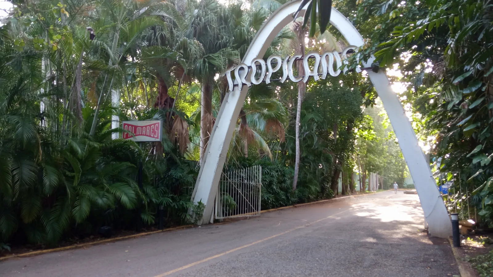 Tropicana